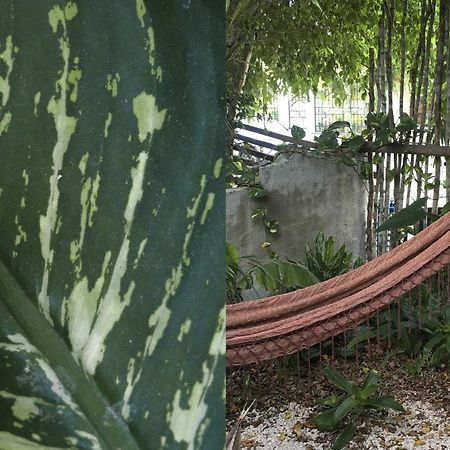 Wabi Sabi Garden Guesthouse By Amara Concepts. 图卢姆 外观 照片