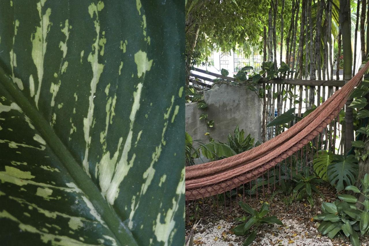 Wabi Sabi Garden Guesthouse By Amara Concepts. 图卢姆 外观 照片