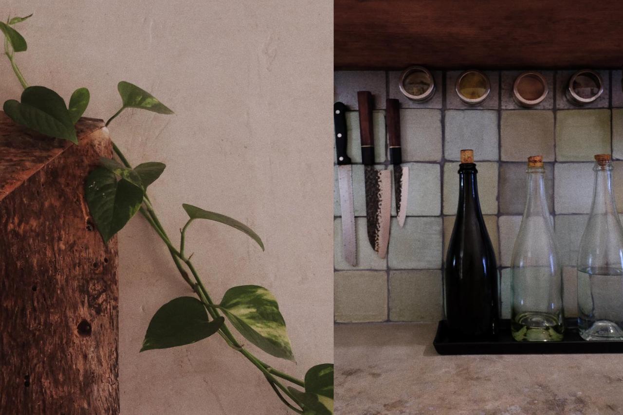 Wabi Sabi Garden Guesthouse By Amara Concepts. 图卢姆 外观 照片